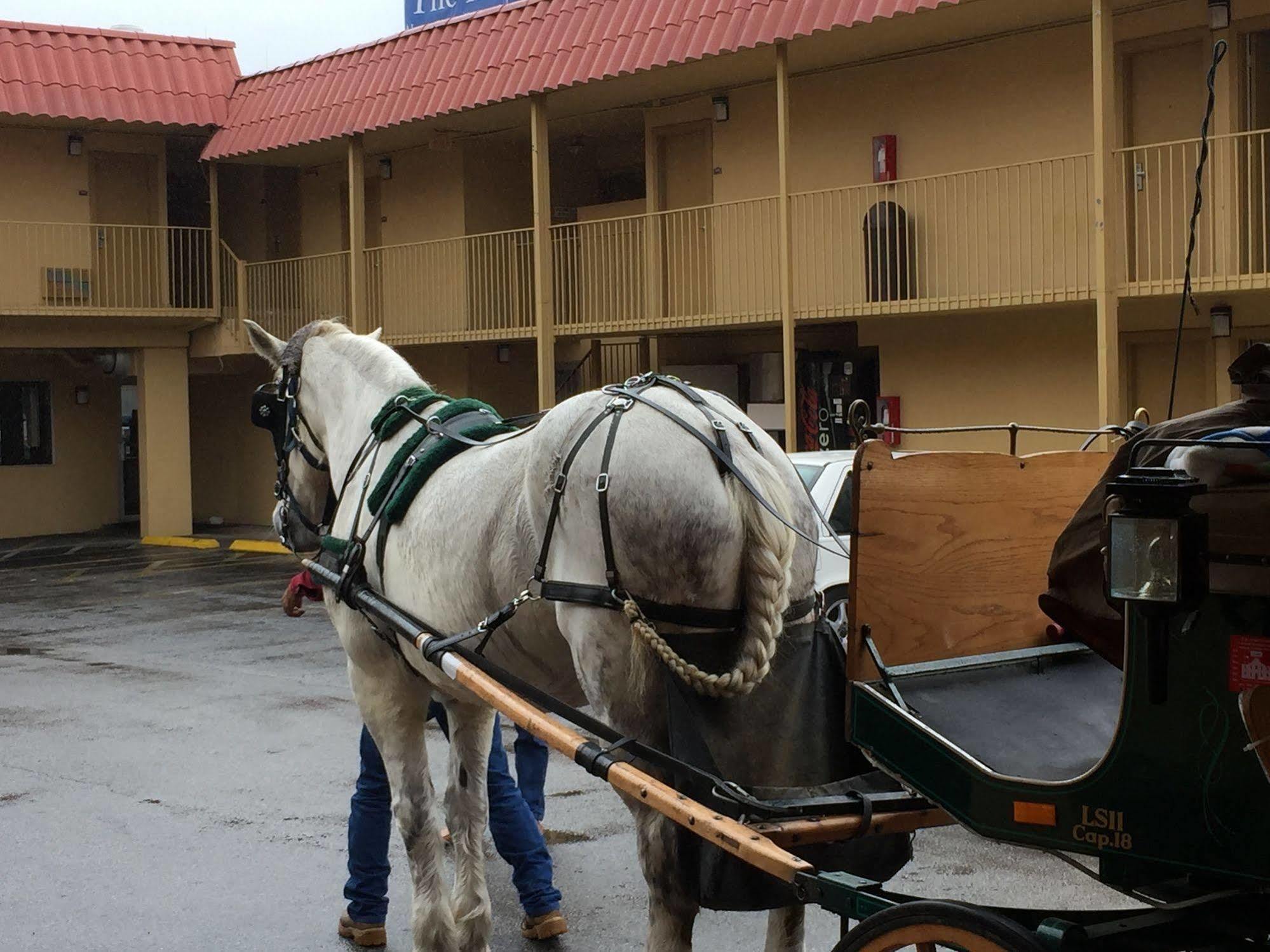 The Inn At Alamo / Riverwalk / Convention Center سان أنطونيو المظهر الخارجي الصورة